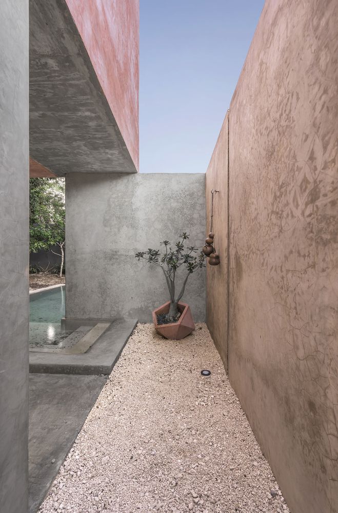 a plant in a pot on the ground next to a concrete wall and water feature