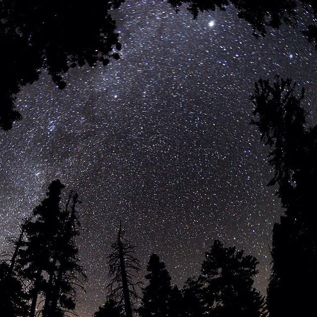 the night sky is filled with stars and trees