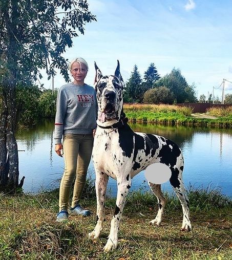 a woman standing next to a large black and white dog near a body of water