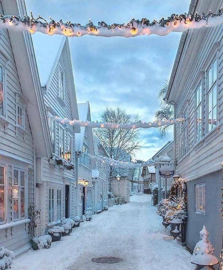 a snowy street lined with white houses covered in christmas lights