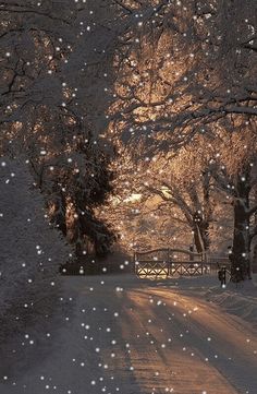 snow falling on the ground in front of trees and a bridge at night with sun shining through