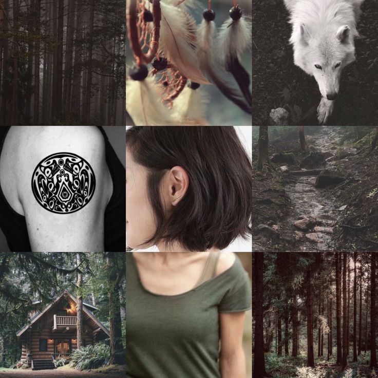 a collage of photos with different animals and people in the woods, including a woman's head