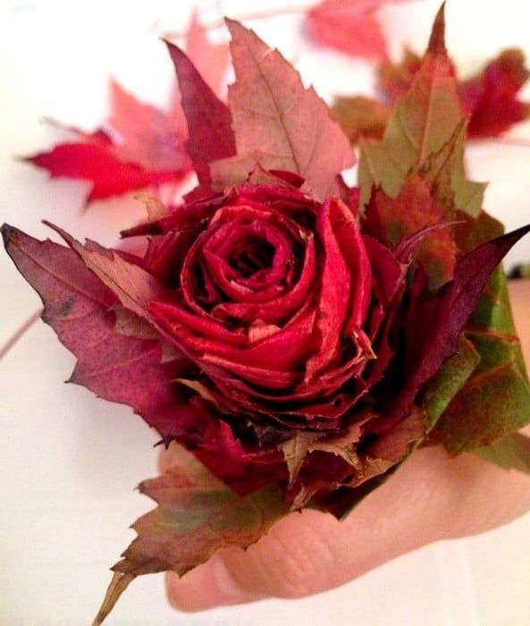 a hand holding a red rose with leaves on it