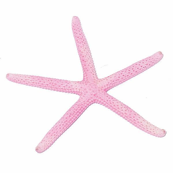 a pink starfish on a white background