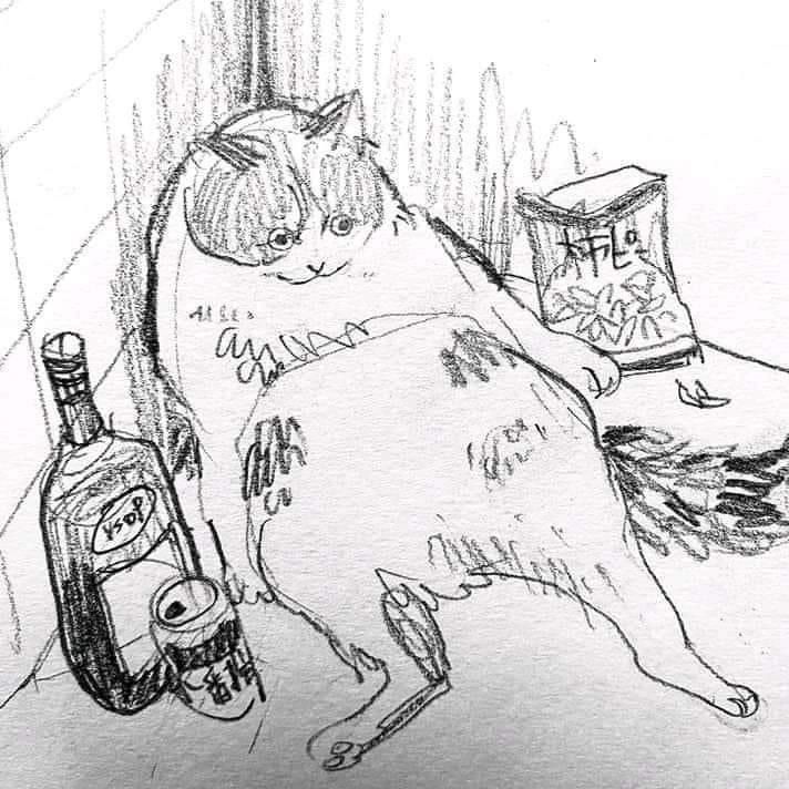 a drawing of a cat laying on its back next to a bottle and a can