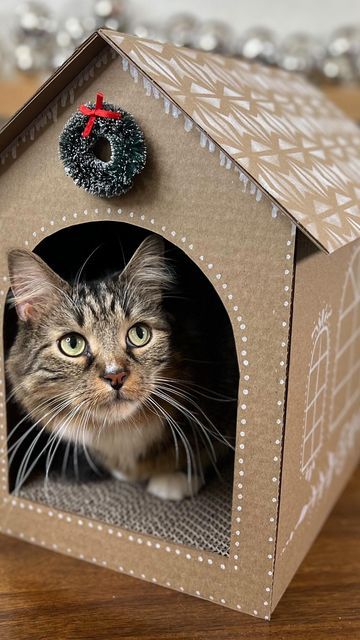 a cat sitting inside of a cardboard house