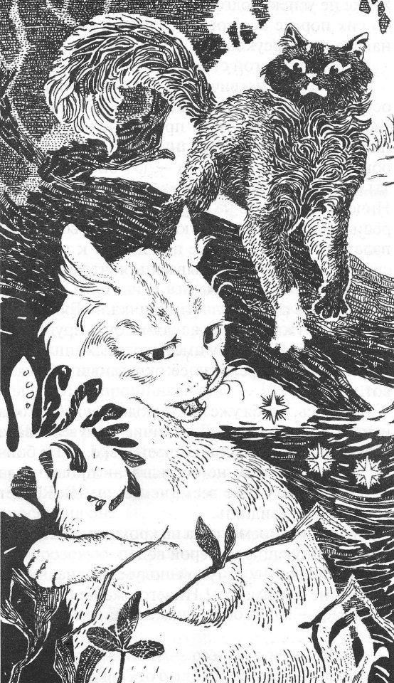 an old black and white drawing of cats