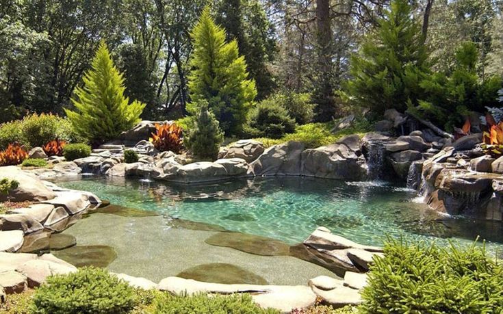 a small pond surrounded by rocks and trees