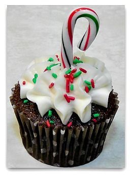 a chocolate cupcake with white frosting and candy cane