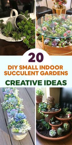 20 diy small indoor succulent gardens and creative ideas for the garden enthusiast