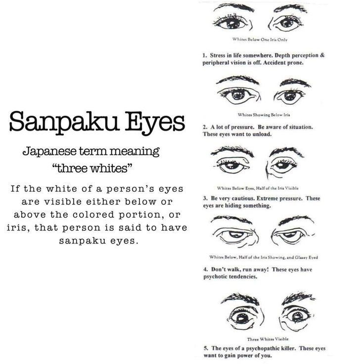 Signs Of Lying Eyes, Sanpaku Eyes Meaning, What Type Of Eyes Do I Have, Sanpaku Eyes Aesthetic, Art Stylization, Sanpaku Eyes, Chinese Face Reading, Eye Types, Cold Eyes