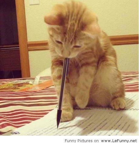 a cat sitting on top of a table with a pen in it's mouth