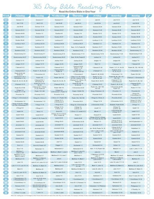 the daily bible reading plan is shown in blue and white, with numbers on each page