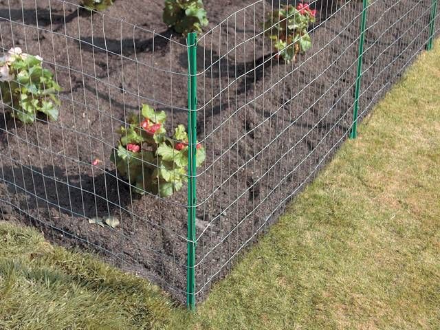 a garden fence with plants growing in it and the words learn more about front yard fence landscaping