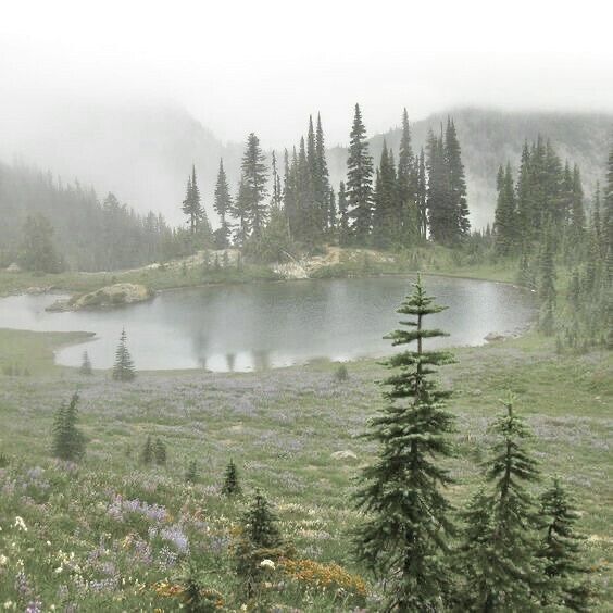 a lake surrounded by trees and flowers in the middle of a field with foggy sky