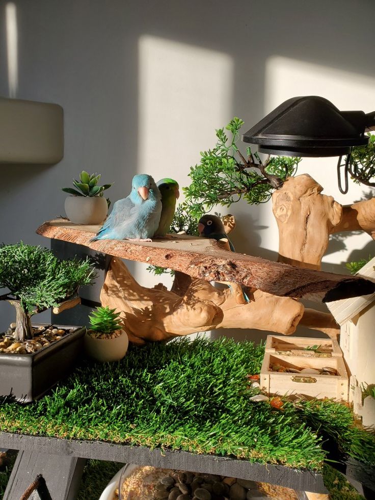 two birds sitting on top of a wooden bench surrounded by plants and other things in pots