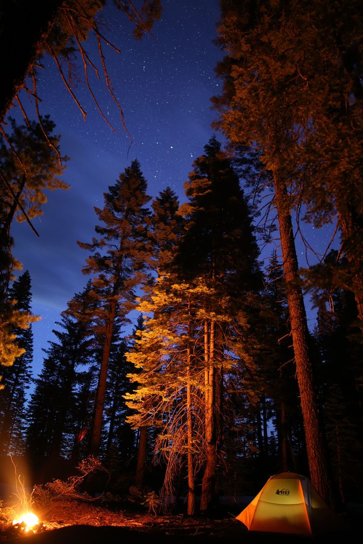 a tent is lit up in the woods at night with trees and stars above it