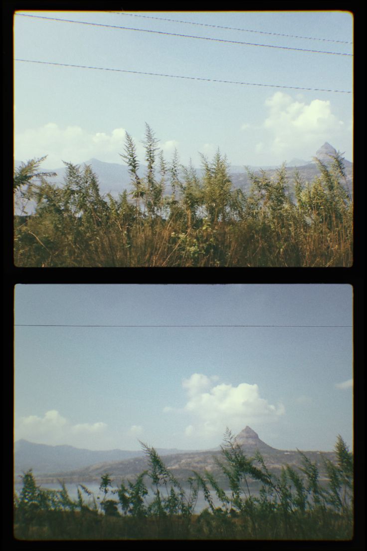 two pictures of trees and mountains in the distance