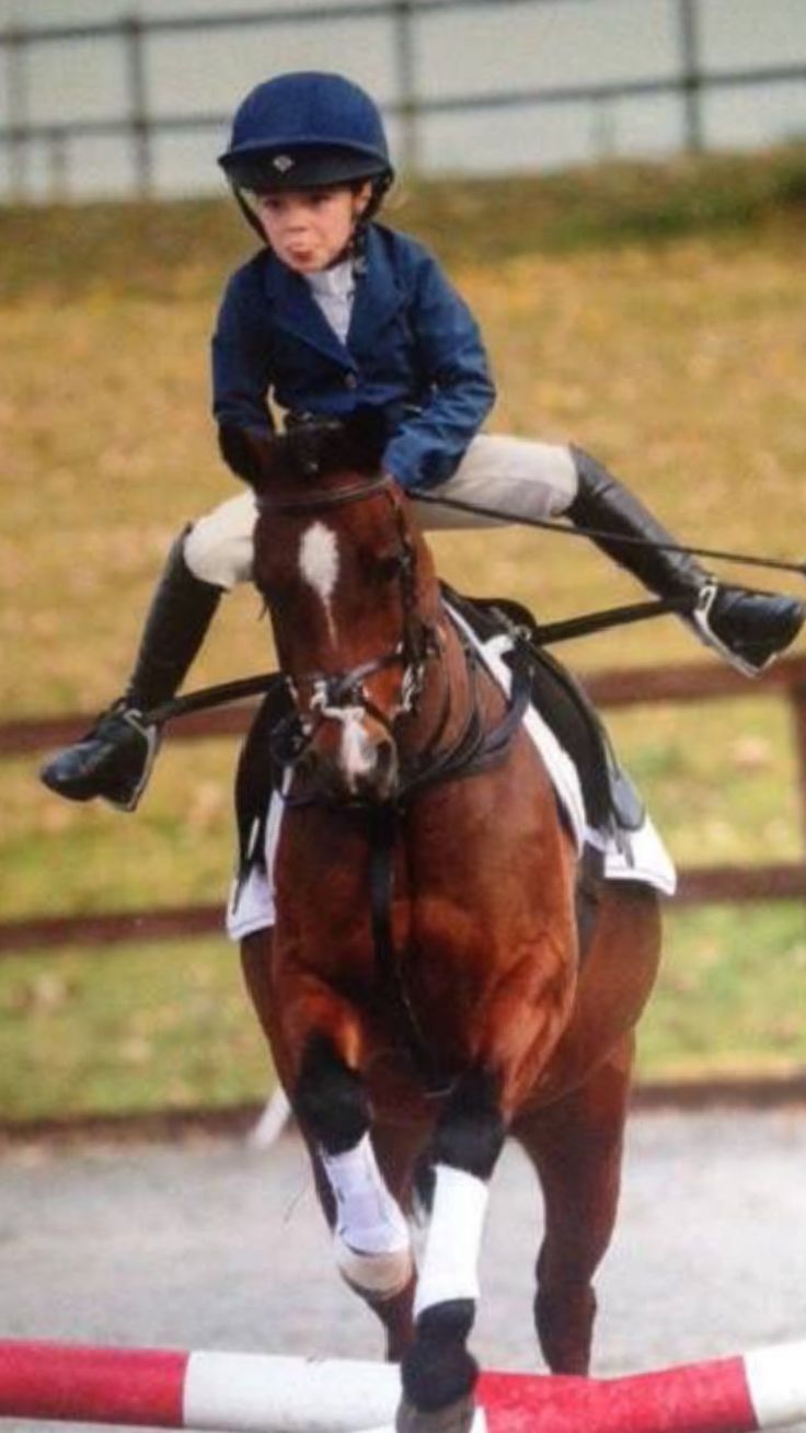 a young person riding on the back of a brown horse over an obstacle in a field