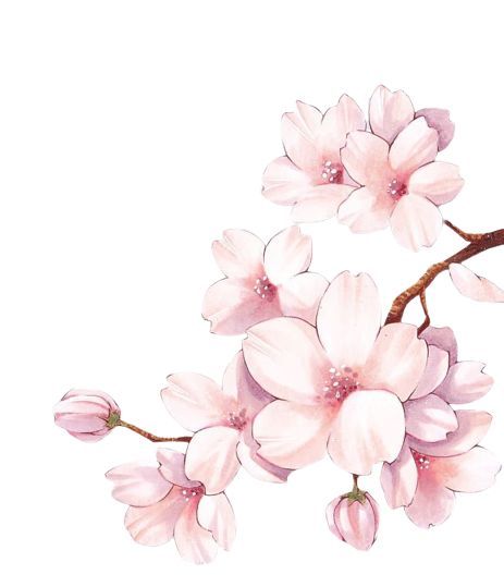 a painting of pink flowers on a branch