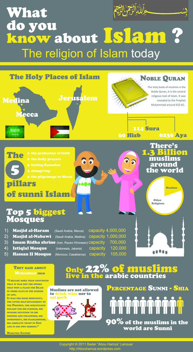 What do you know about Islam Coran Islam, About Islam, Noble Quran, Islamic Studies, Basic Facts, World Religions, Religious Education, Islamic Teachings, Religious Studies