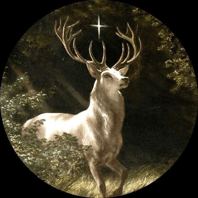 an image of a white deer in the woods