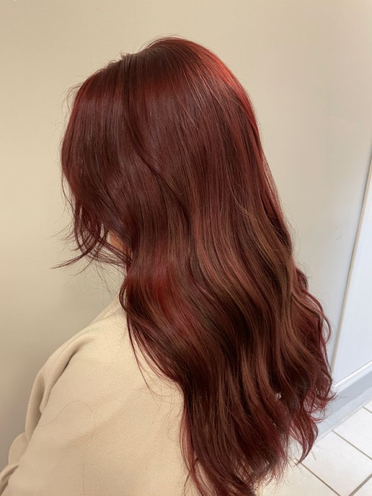 Light Brown Hair Dyed Red, Candlelit Hair Color, Medium Brown With Red Tones, Brown Red Hair Aesthetic, Mohagany Red Brown Hair Color, Asian Reddish Brown Hair, Erika Titus Red Hair, Strawberry Burnett Hair, Soft Cinnamon Hair Color