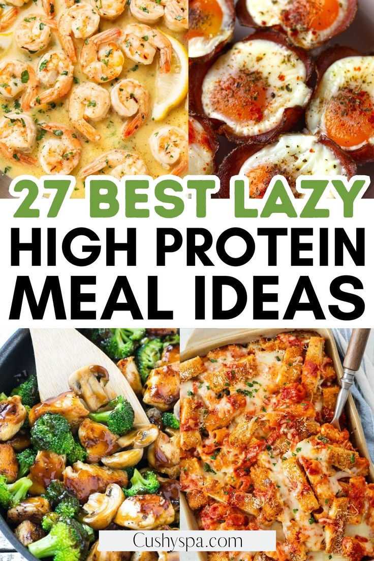 27 best layy high protein meal ideas that are easy to make and delicious for the whole family