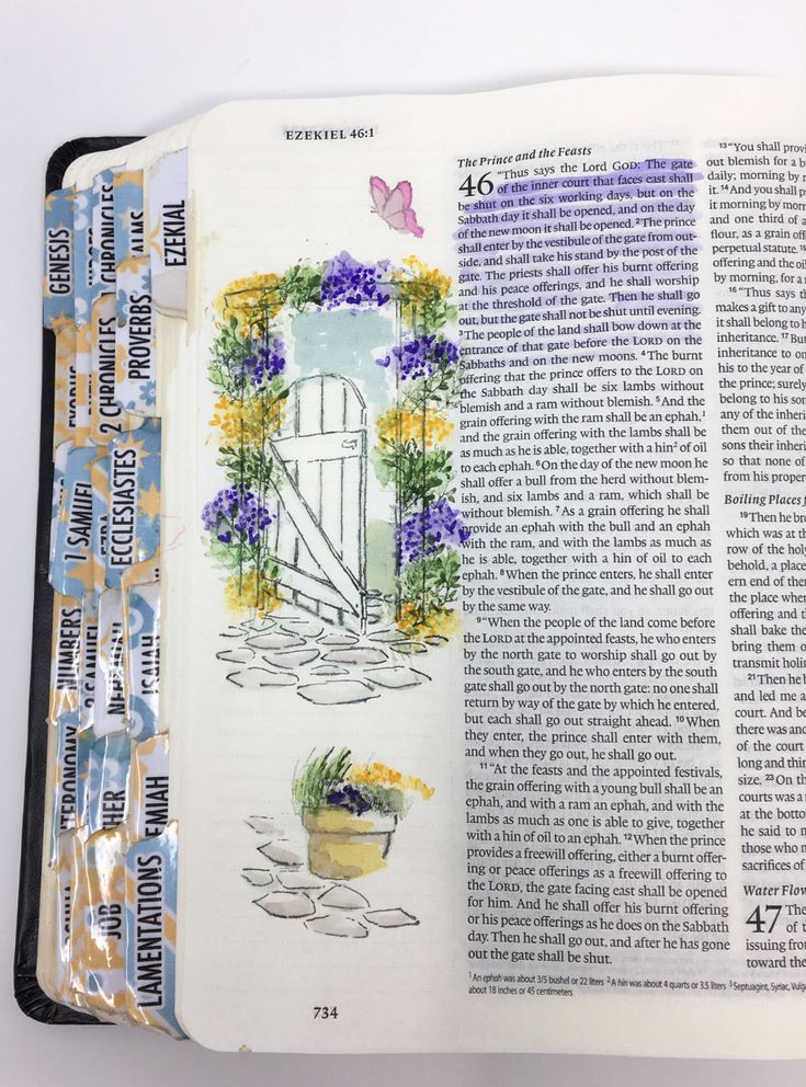 an open bible with pictures of flowers and plants on the front page, in color