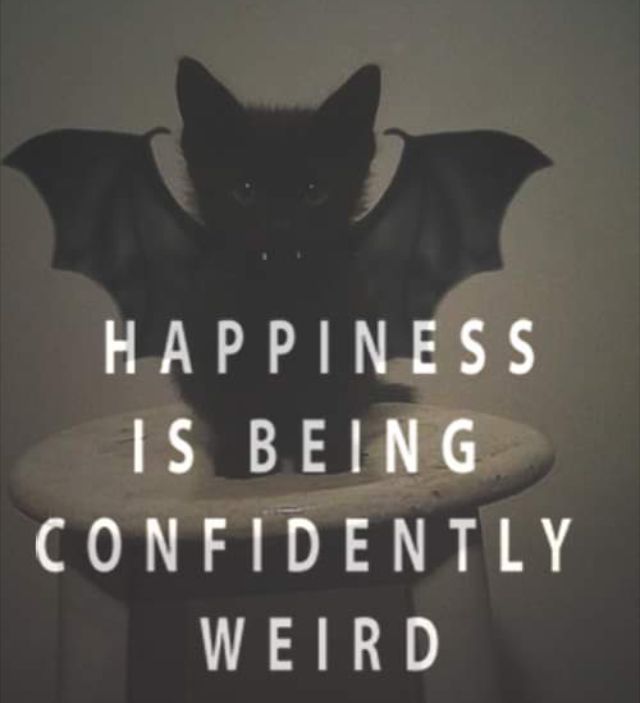 a bat sitting on top of a table with the words happiness is being confidently weird