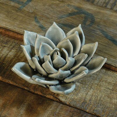 a small white flower sitting on top of a wooden table