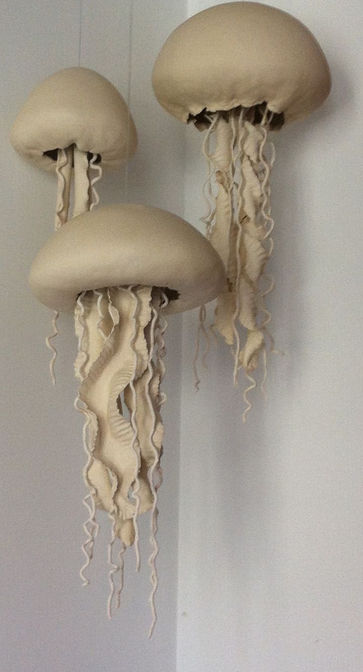 two white jellyfish hanging from the side of a wall