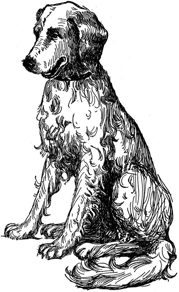 a black and white drawing of a dog