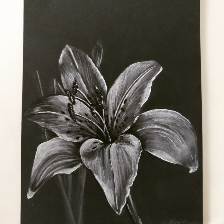 a black and white drawing of a flower