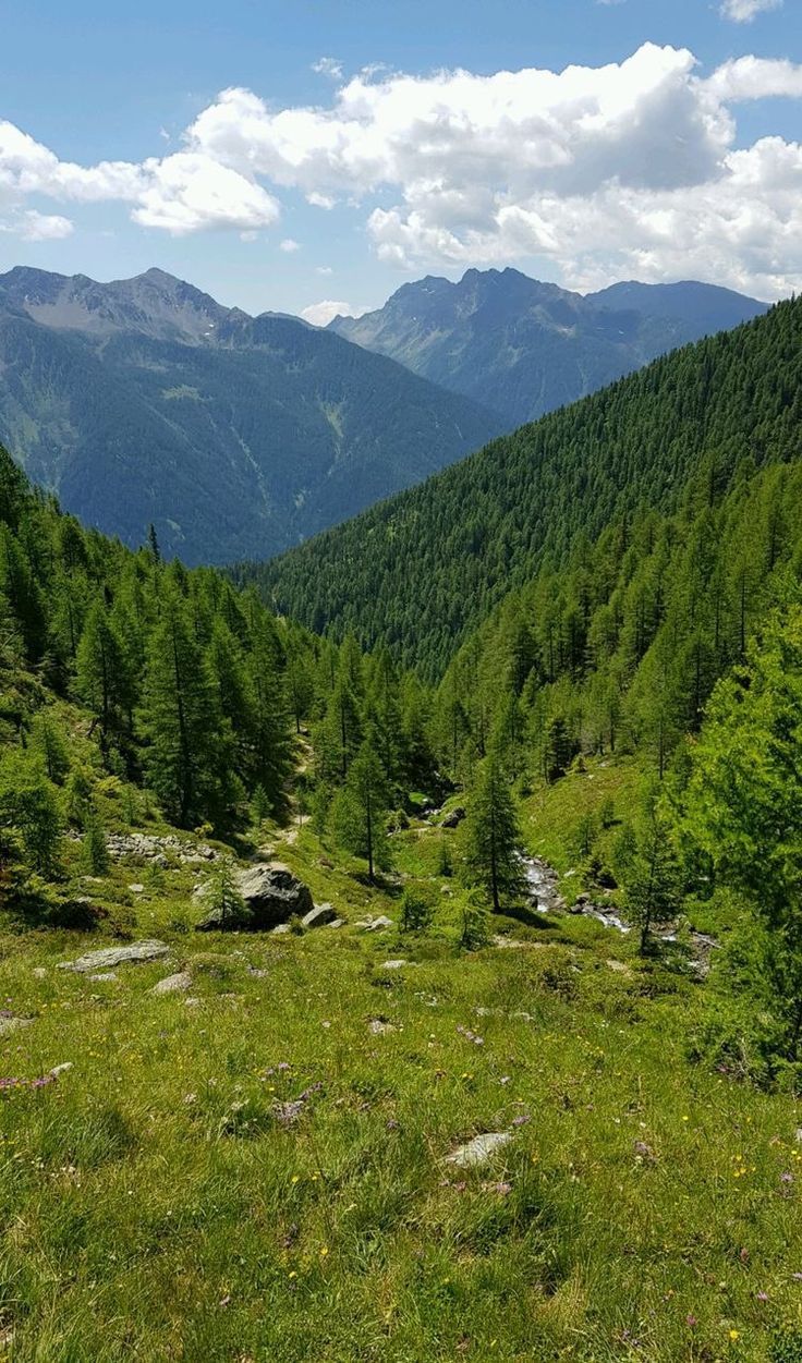 the mountains are covered with trees and grass