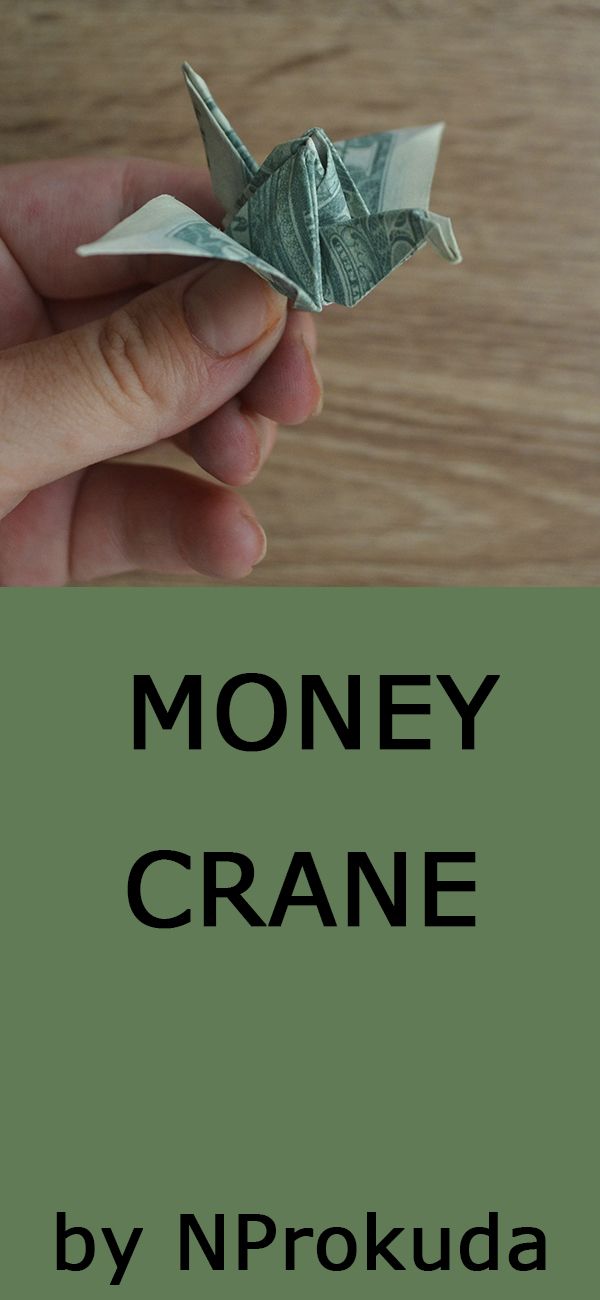 money cranee by n p prokuda is shown in the foreground and on the background, there is a person's hand holding a folded origamion