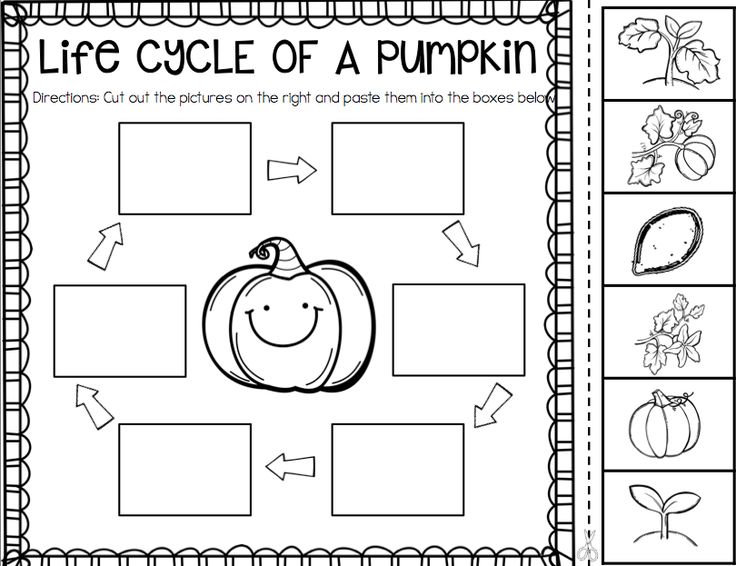 the life cycle of a pumpkin worksheet with pictures and words to help students learn how