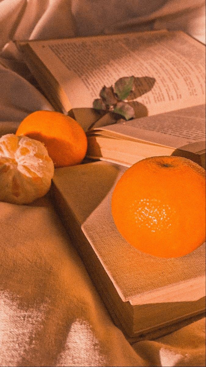 Aesthetic minimal Orange Images Aesthetic, Soft Orange Aesthetic Vintage, Orange Aesthetic Pfp, Soft Orange Aesthetic, Orange Aesthetic Vintage, Sacral Plexus, Orange Food, Orange Things, Orange Theme