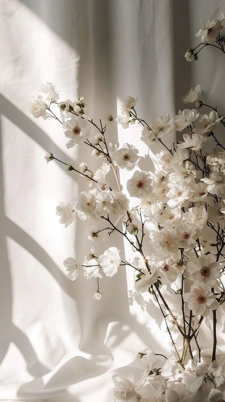 white flowers are in a vase on a window sill