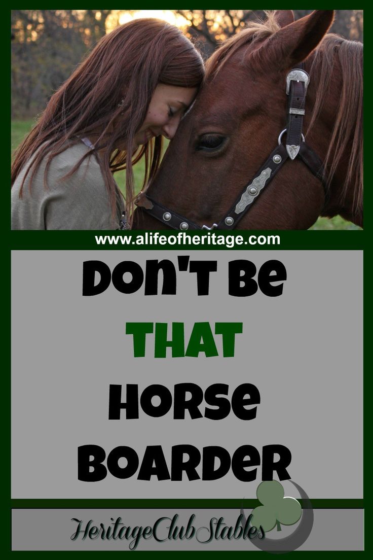 Boarding Facility, Horse Back Riding, Horse Information, Health Care Tips, Horse Info, Equestrian Helmet, Horse Feed, Types Of Horses, Horse Boarding