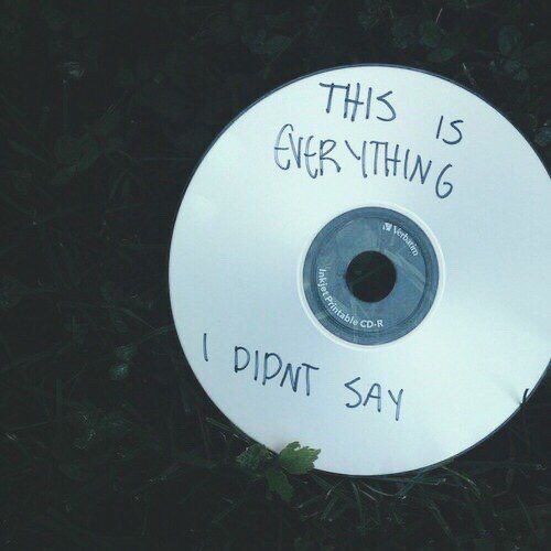 this is everything i didn't say written on a white disc in the grass