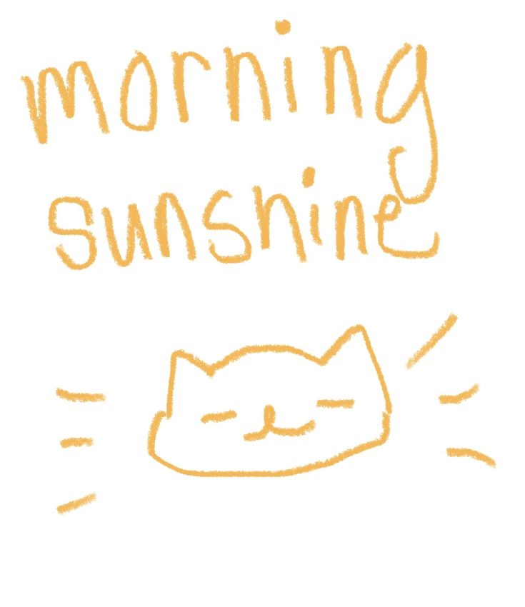 Caption “Morning Sunshine” in orange font. A small orange cat head drawn showing a happy face. Wholesome Morning, Morning Wholesome, Cute Greetings, Wholesome Doodles, Cute Good Morning Drawing, Cute Morning, Good Morning Wholesome, Good Morning Cats, Good Morning Doodles