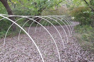 an image of a path in the woods that is lined with metal rods and leaves