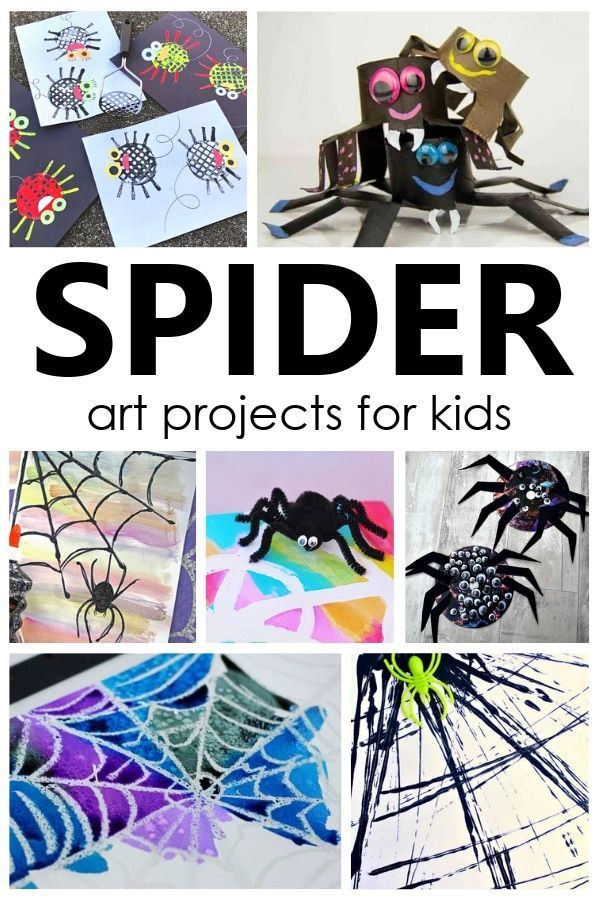 spider art projects for kids to make