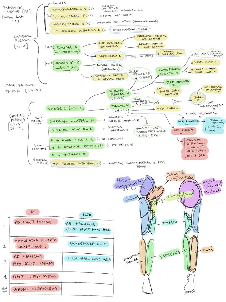 a whiteboard drawing with several different types of words and diagrams on the side of it