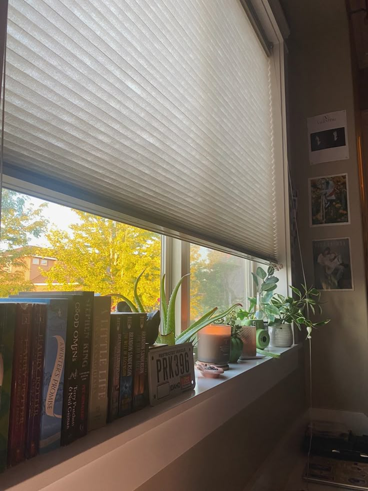 Plants room aesthetic bookshelf aesthetic Window Sill Bedroom Ideas, Books On Windowsill Aesthetic, Windowsill Ideas Bedroom, Windowsill Plants Aesthetic, Window Decor Aesthetic, Fall Windowsill Decor, Window Sill Decor Aesthetic, Bedroom Window Ideas Aesthetic, Aesthetic Window Sill