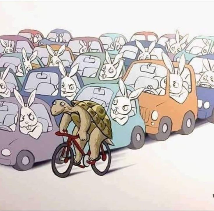 an image of a man riding a bike in front of many cars with rabbits on them