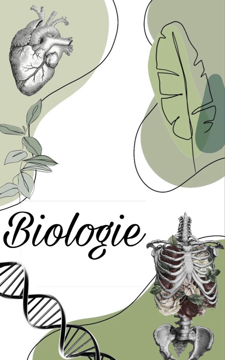 an image of a poster with the words biologie on it