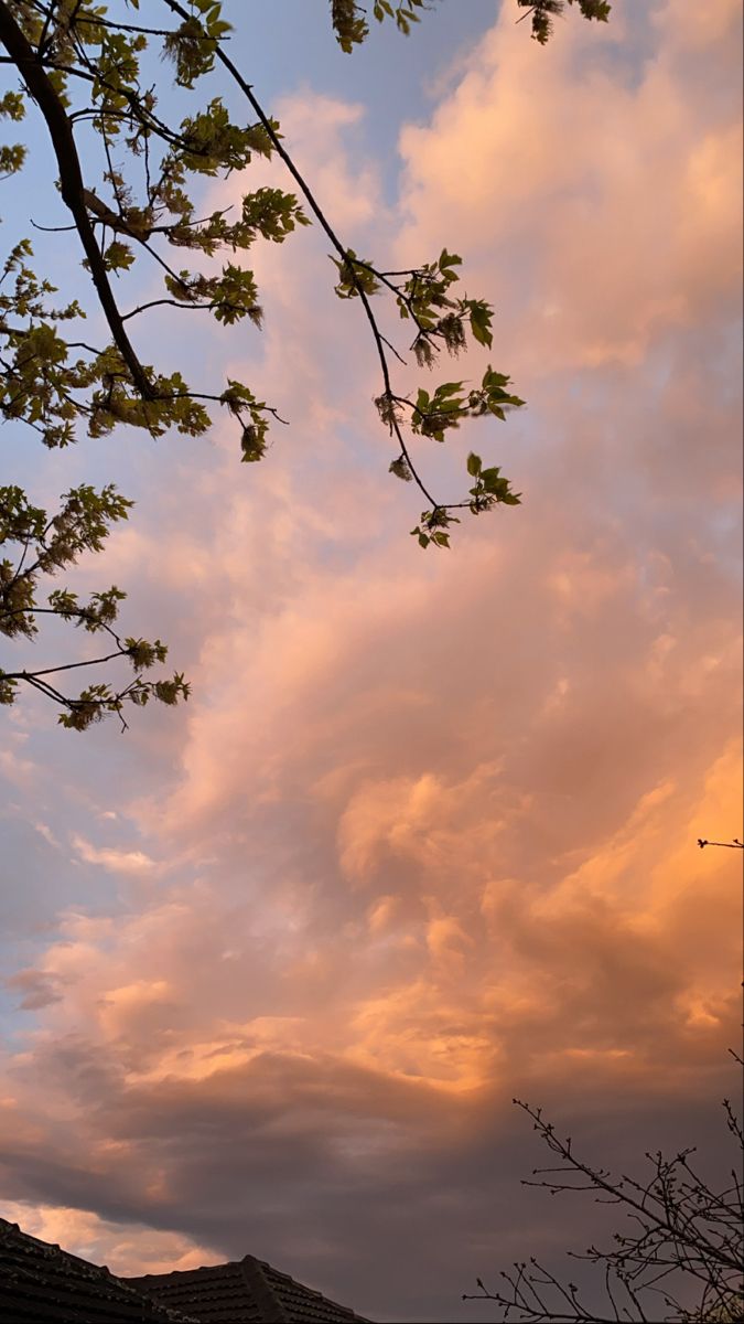 the sky is pink and blue with clouds