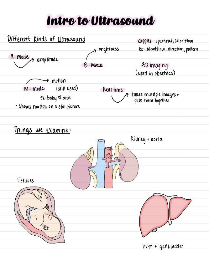 the diagram shows different types of lungs